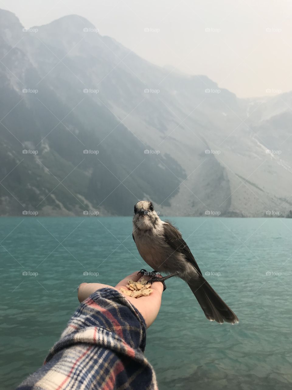 Smokey Joffre lakes during BC wildfires. Too bad the air wasn’t as clear as the water 🔥