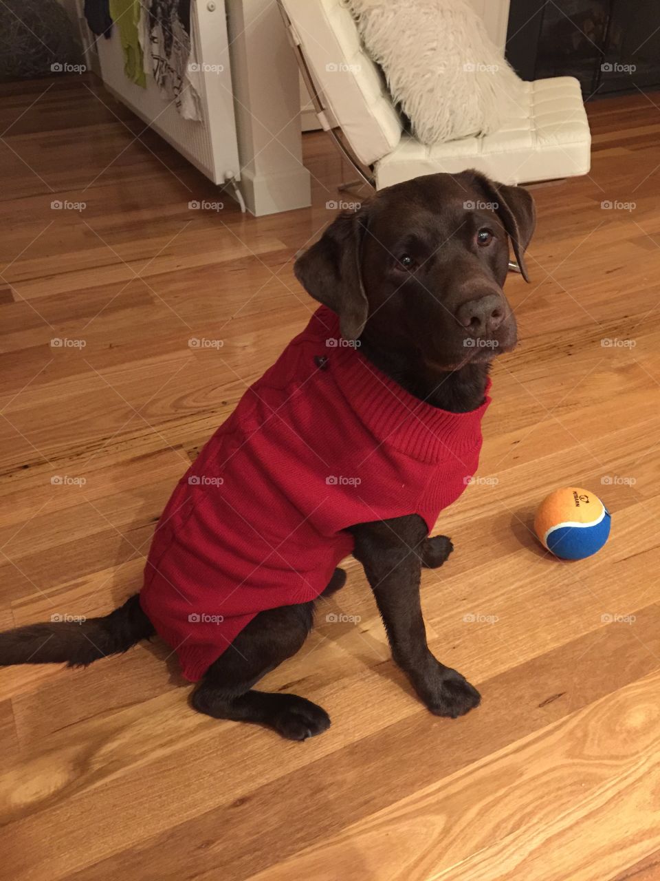 Fletchy is getting warm