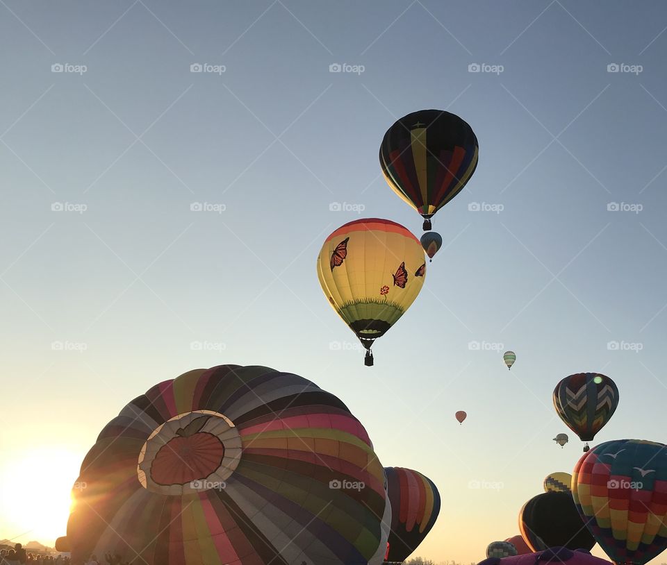 Fall hot air balloon festival at sunrise 