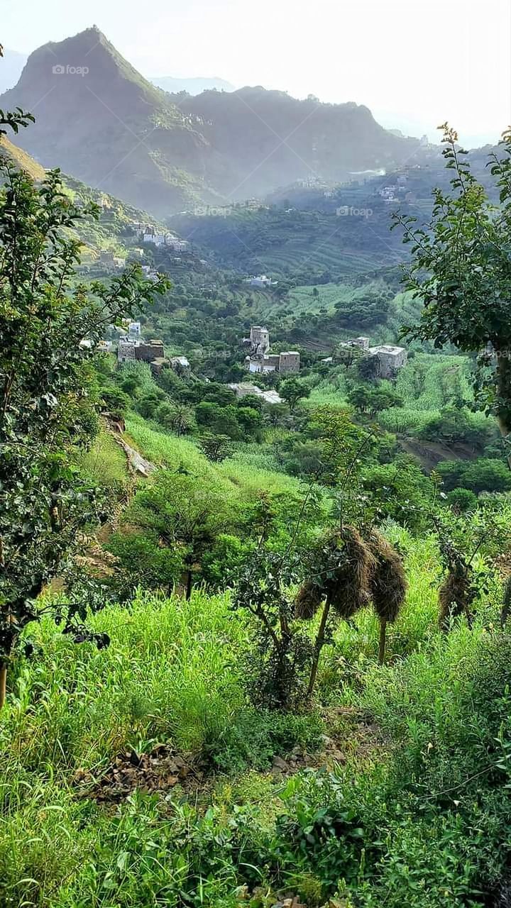 Glory be to God, the magnificent and picturesque view and the natural green trees are a view that is nothing more wonderful than it
