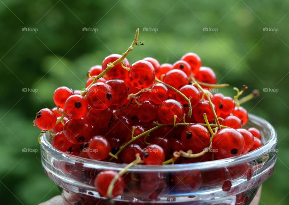 red cranberries green background healthy living