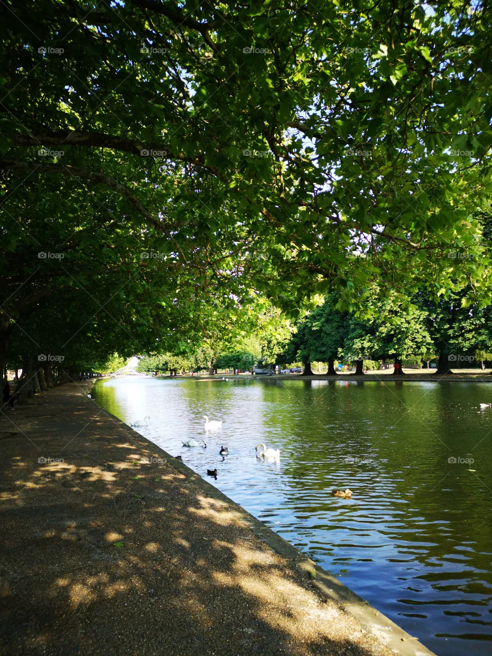 lake