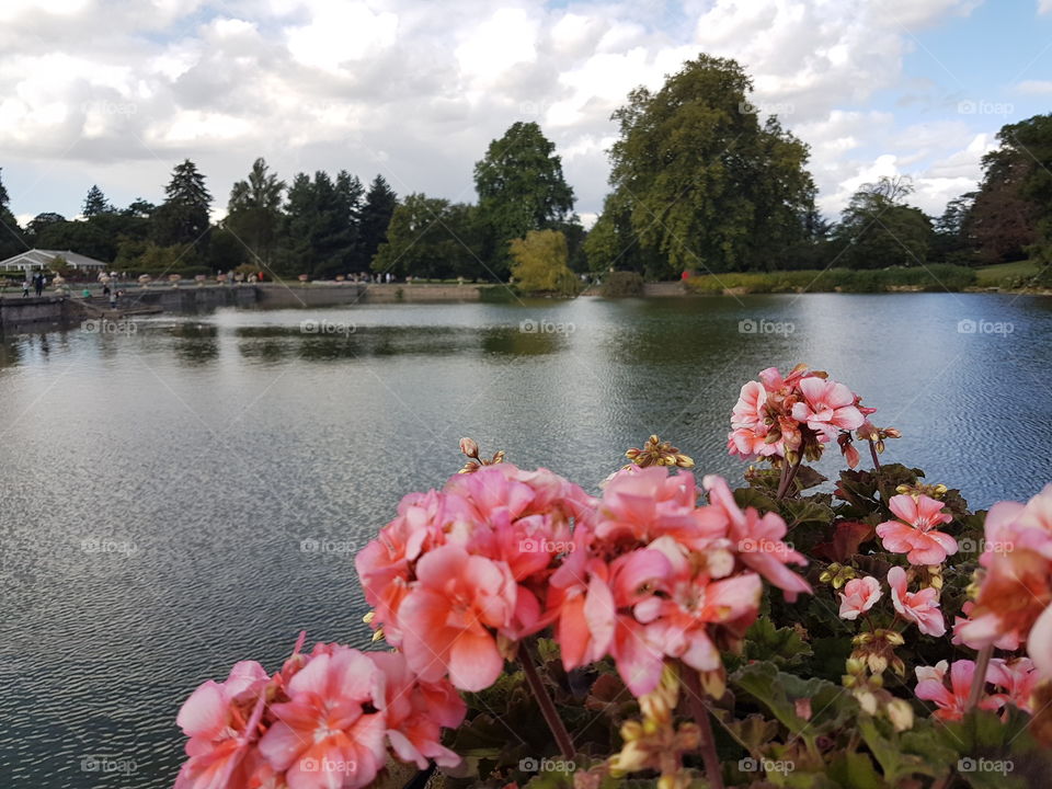 Lake at Kew Gardens, London