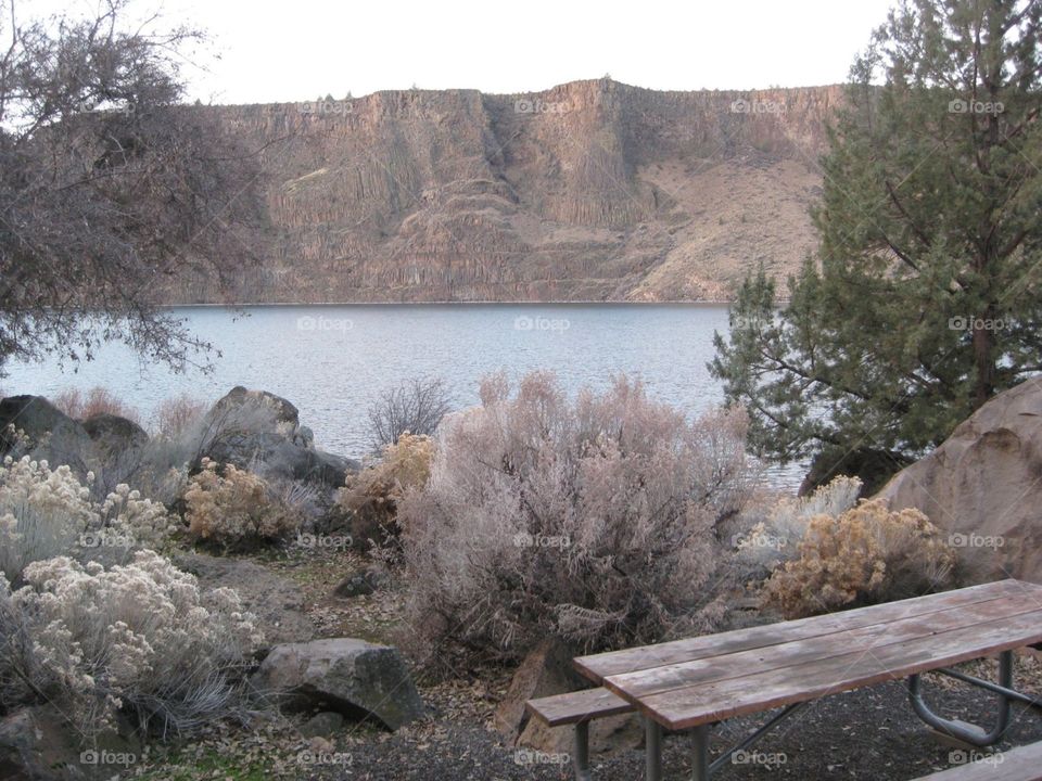 lakeside. picnic