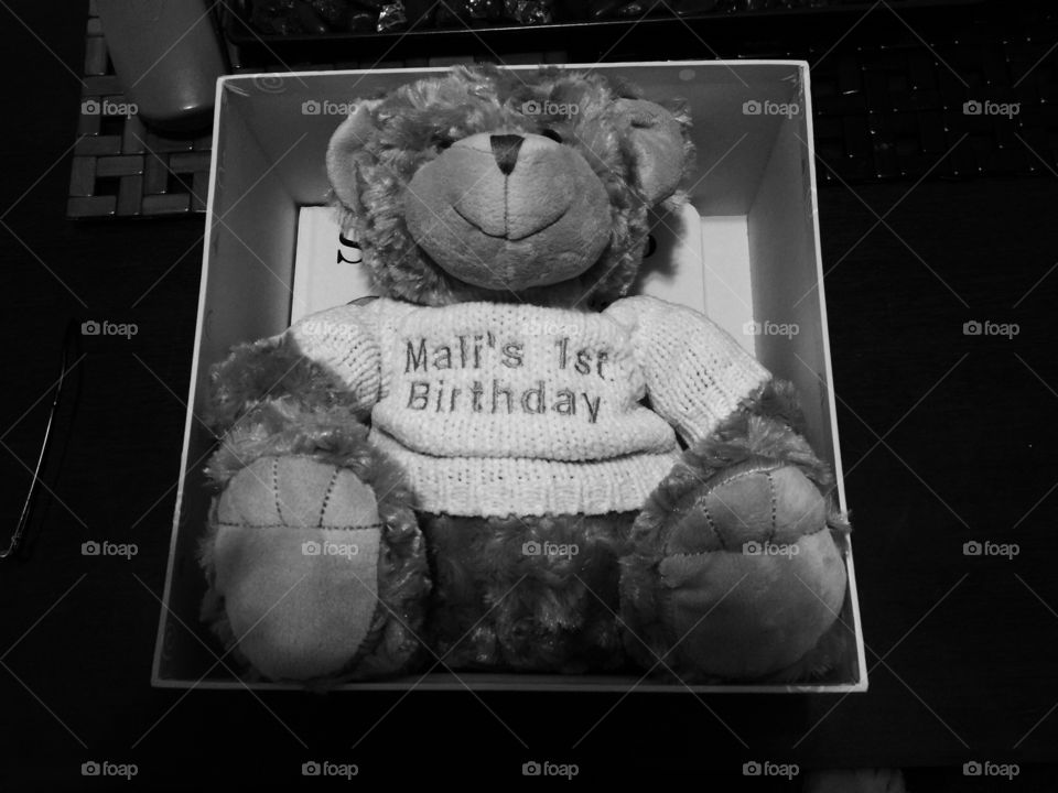 Birthday Bear Noir