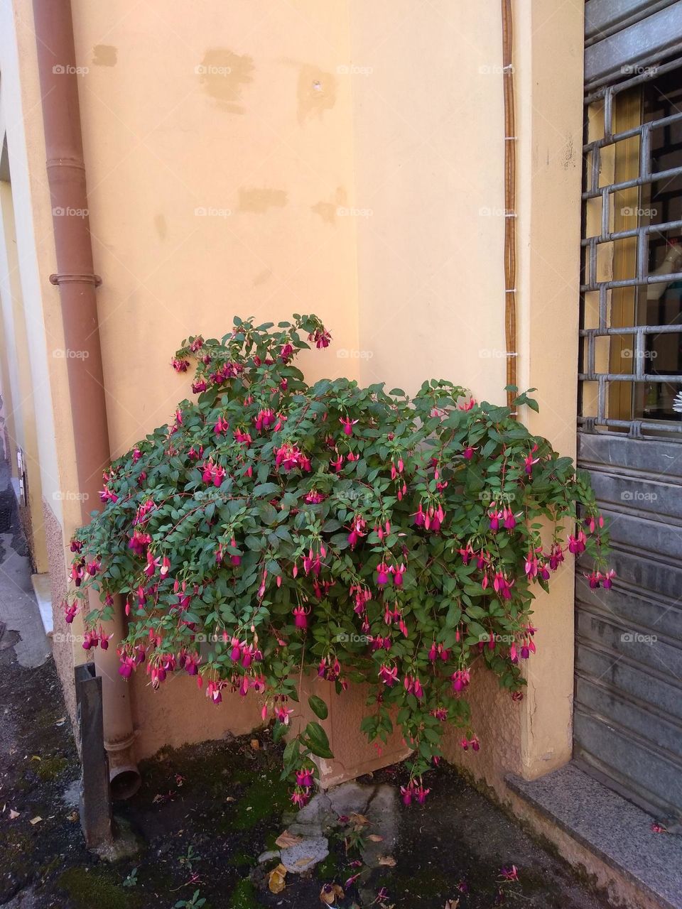 Best of 2021: Nature