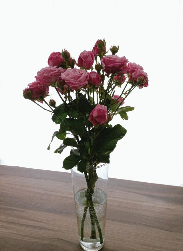 roses