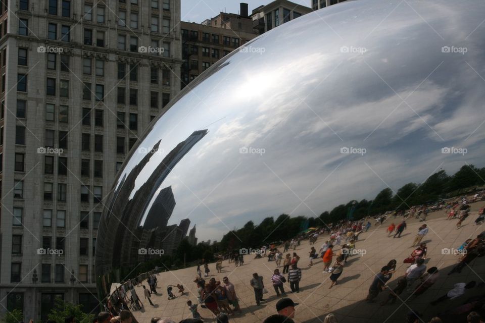 The Bean