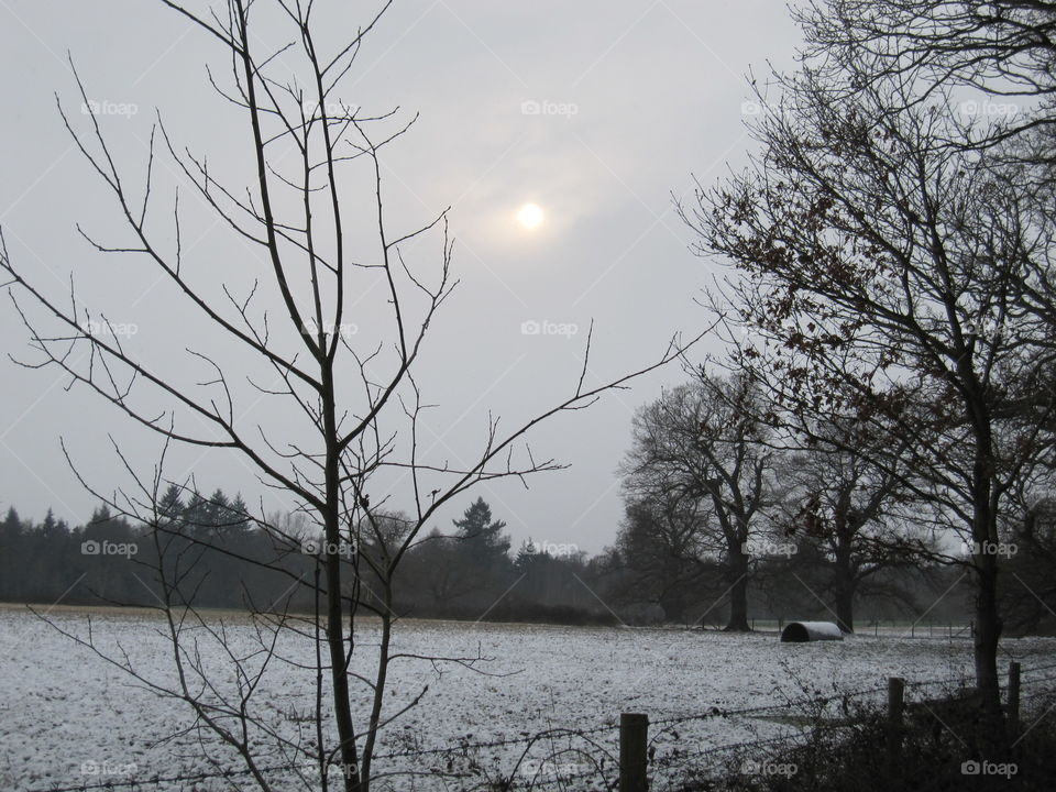 A Cold Sun