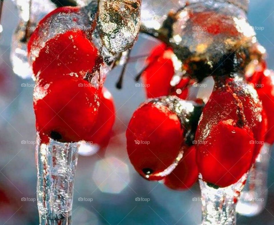 Красота природы