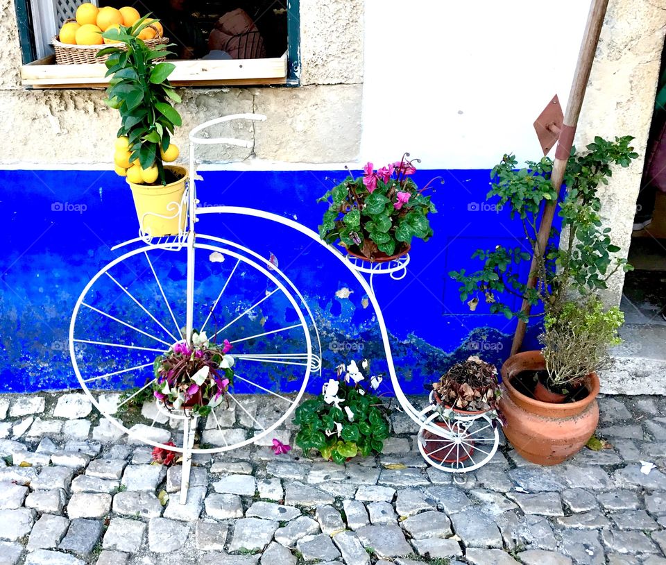 Old bicycle turned into stand for flowers
