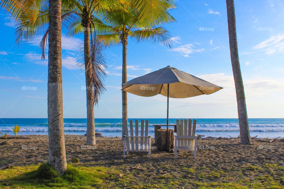 View of two wooden chairs and an umbrella among palm trees on Palosecobeach on the Pacific ocean.  Costa Rica