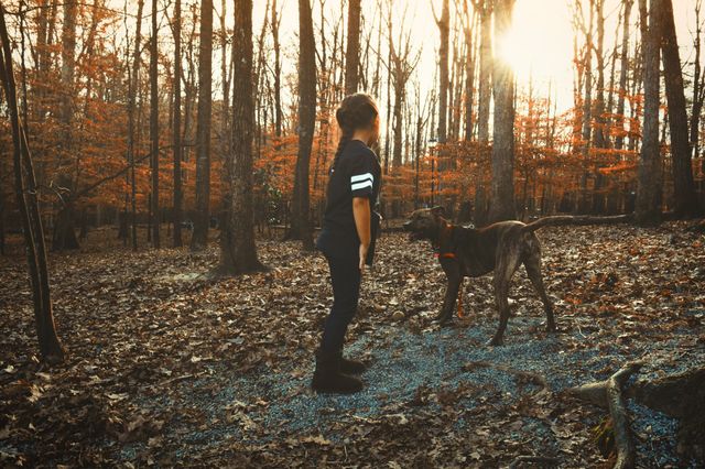 Wood, People, Tree, Fall, Adult