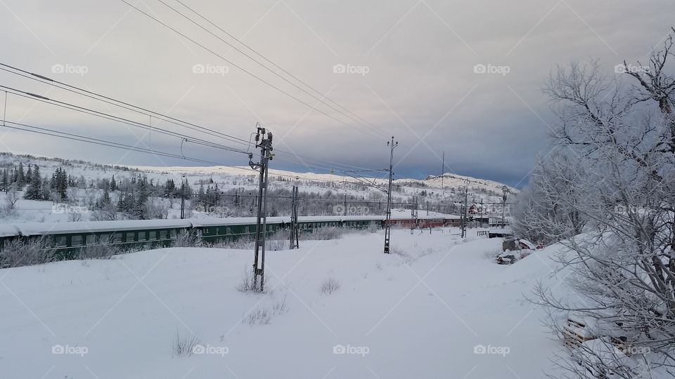 Mountain train trip