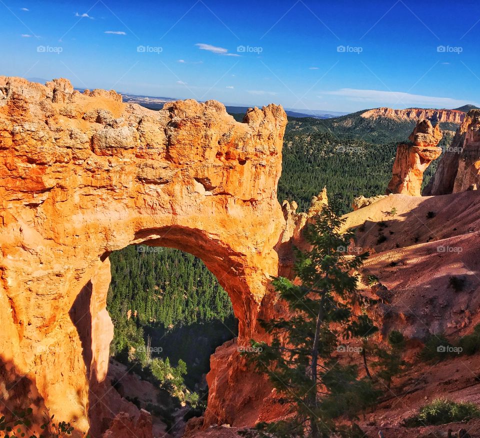 Natural bridge in Bryce canyon, Utah