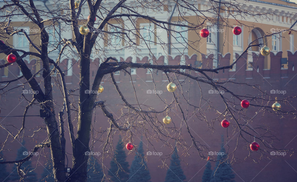 Bright christmas decorations on defoliated tree in Moscow, Russia