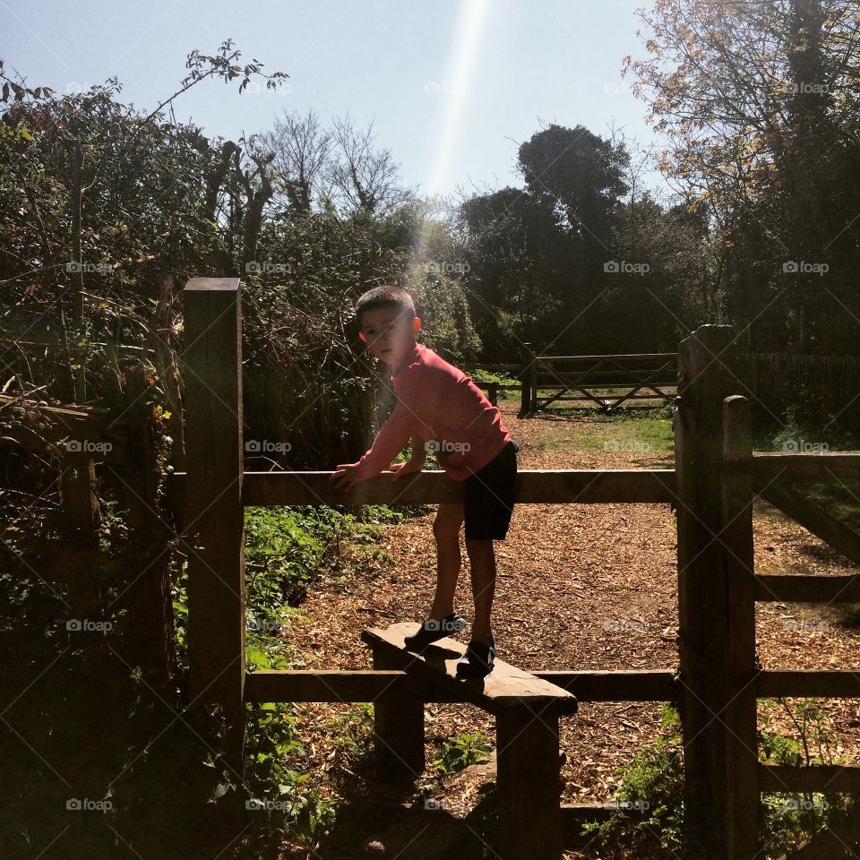 Climbing the style, the Old Orchard, Grantchester, Cambridgeshire, England. Shaft of springtime sunshine at the Old Orchard meadows, Grantchester, Cambridgeshire, England