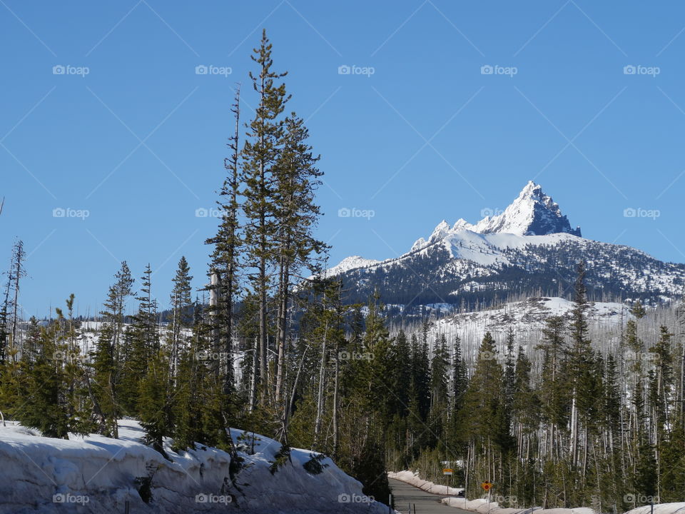 The magnificent snow covered Three Fingered Jack in Oregon’s Cascade Mountain Range against a clear blue sky on a beautiful spring day.