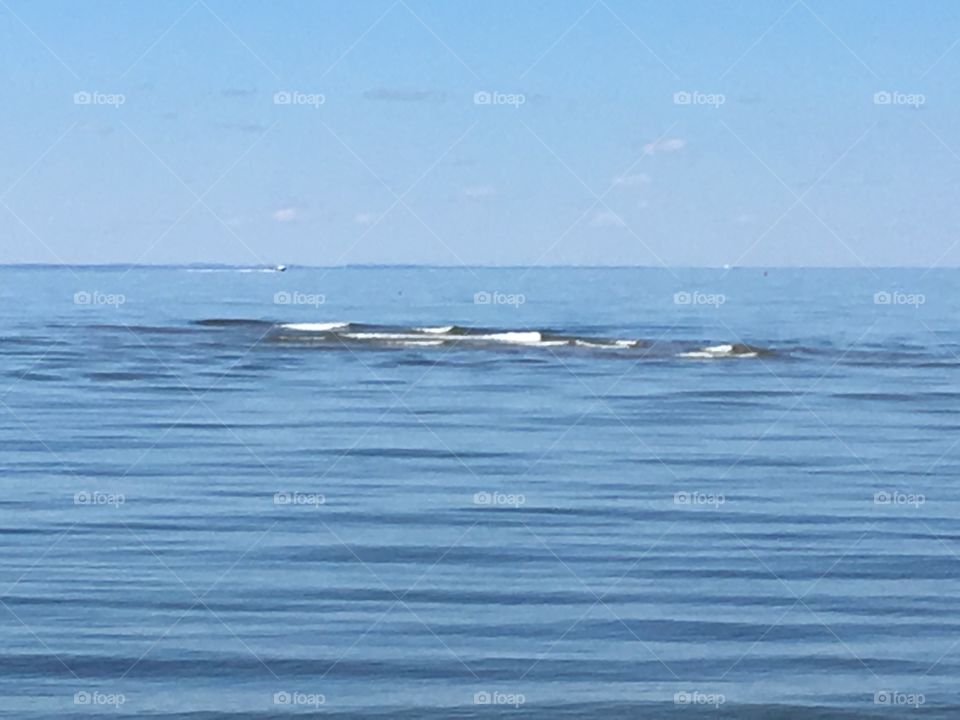 Current coming in from the ocean on the beach, 