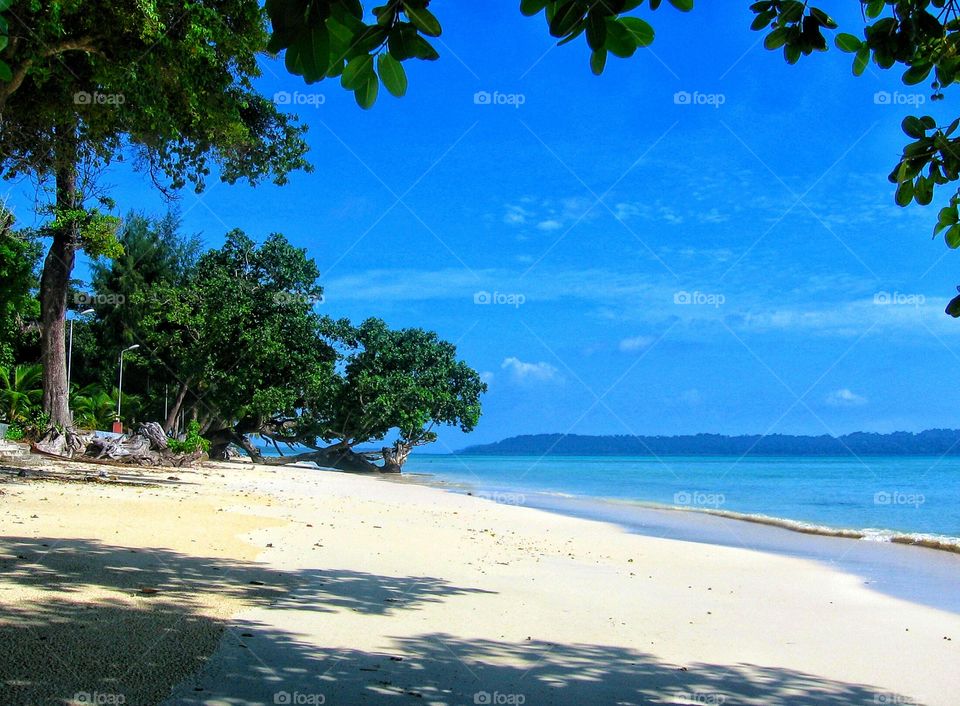 beautiful beach view of havelock Andaman island of India - Indian Ocean coast