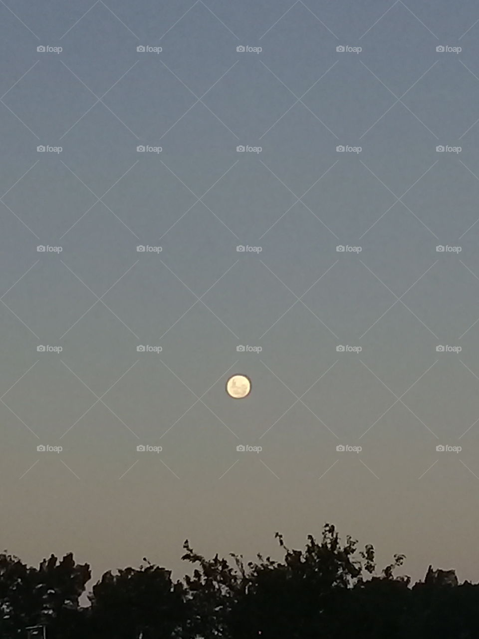luna llena saliendo en un cielo de atardecer de verano en un barrio rural de General Rodríguez,provincia de Buenos Aires. Argentina
