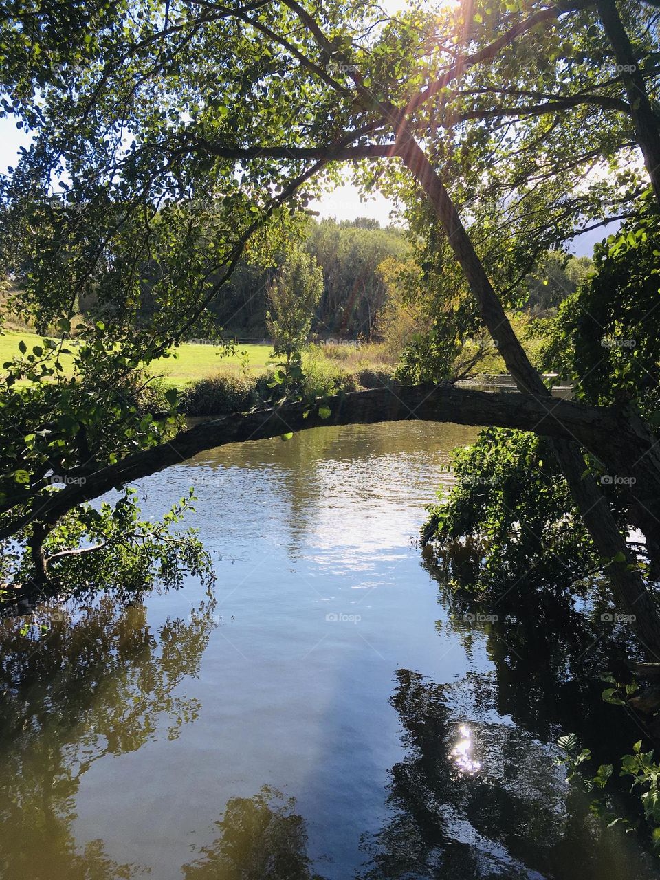 Beautiful walks along the river on hot summer days. The water is so peaceful and the sun is simply bouncing of the surface. 