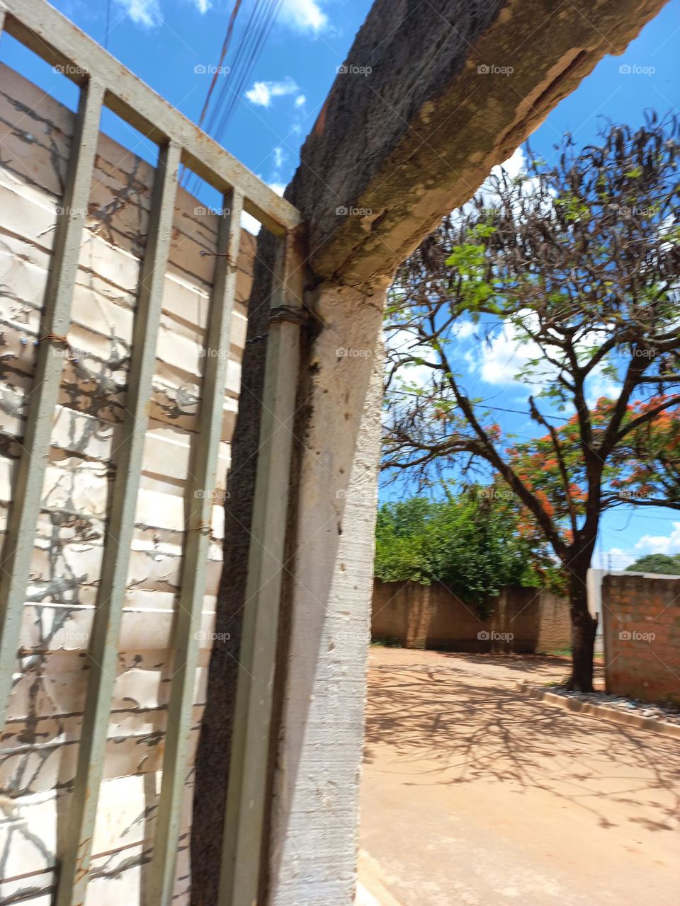 Vegetação  do Outono, uma das características  típicas é mais conhecidas do Outono é a queda das folhas das árvores, que também  ficam com tons alaranjados. Isso não  acontece , com todas as árvores apenas , com um grupo delas, chamadas Caducifólias