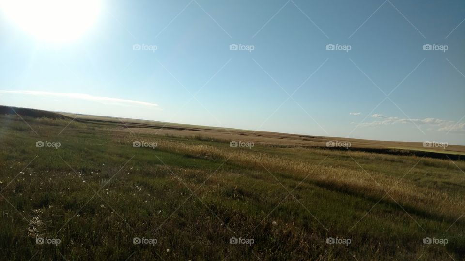 Landscape, Sky, Farm, Cropland, Grassland