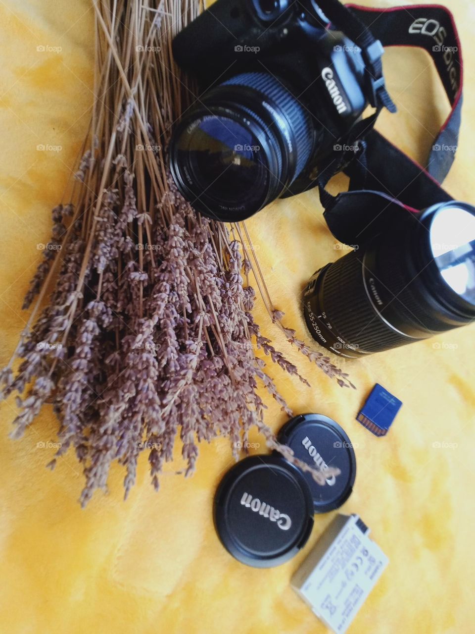 Camera in photography is a device for recording an image of an object on a light-sensitive surface, it is essentially a light-tight box with an aperture to admit light focused onto a sensitized film or plate.