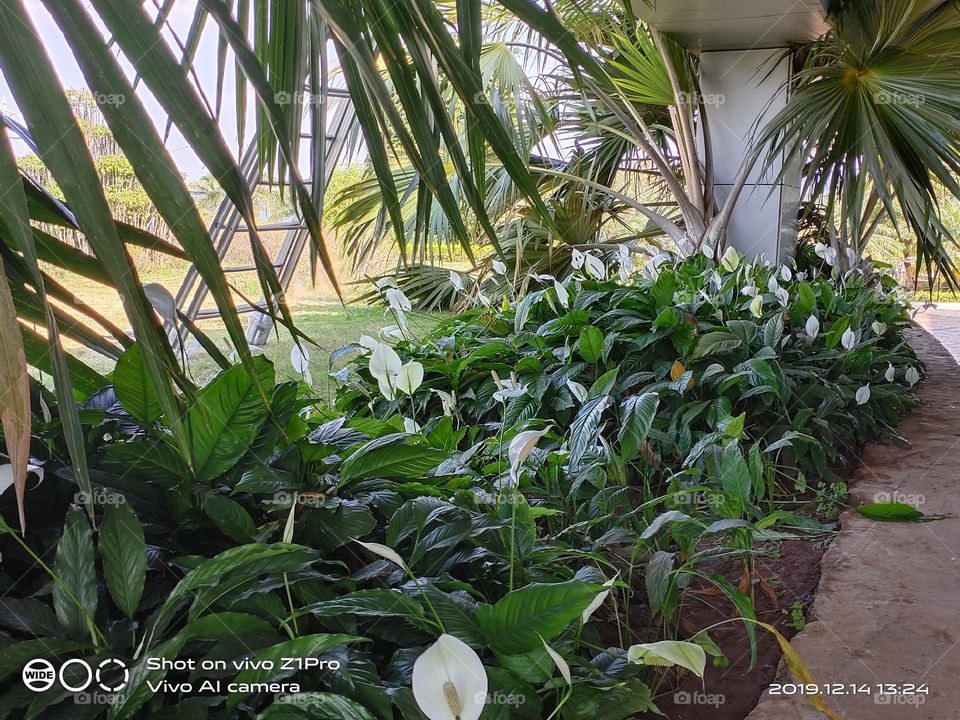 Nature in Natural color, photos with no filters looks absolutely amazing, refreshing and original