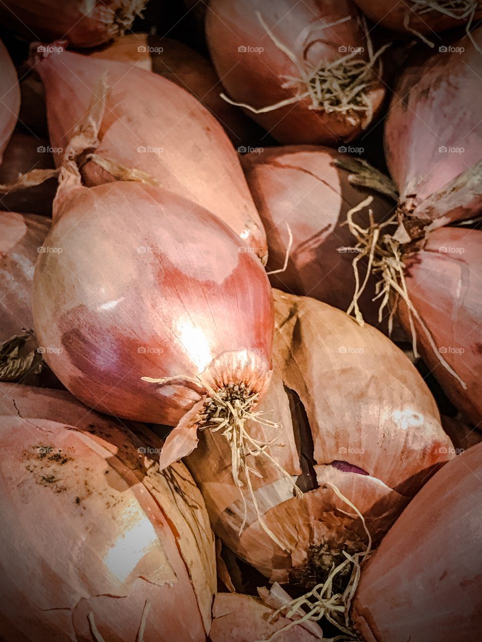 Yellow cooking onion add great flavor to any roast or stew. 