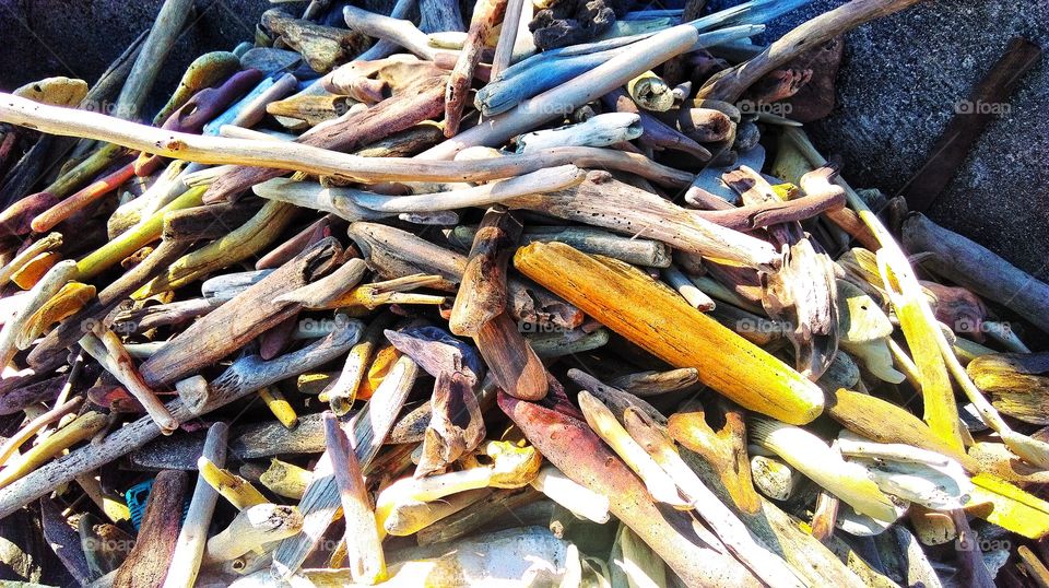 This collection of drift wood lands in some tourist stores in Bali...