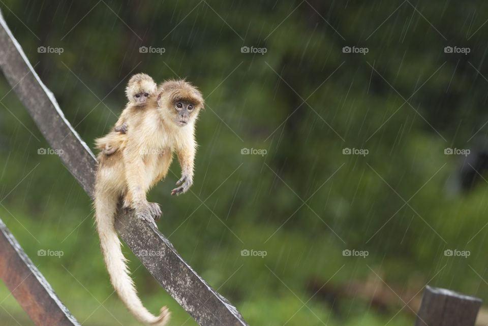 Living in harmony - father and son.