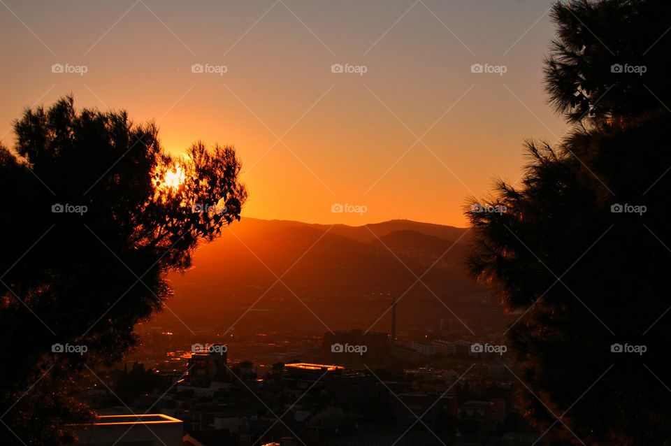 Landscape of city during sunset 