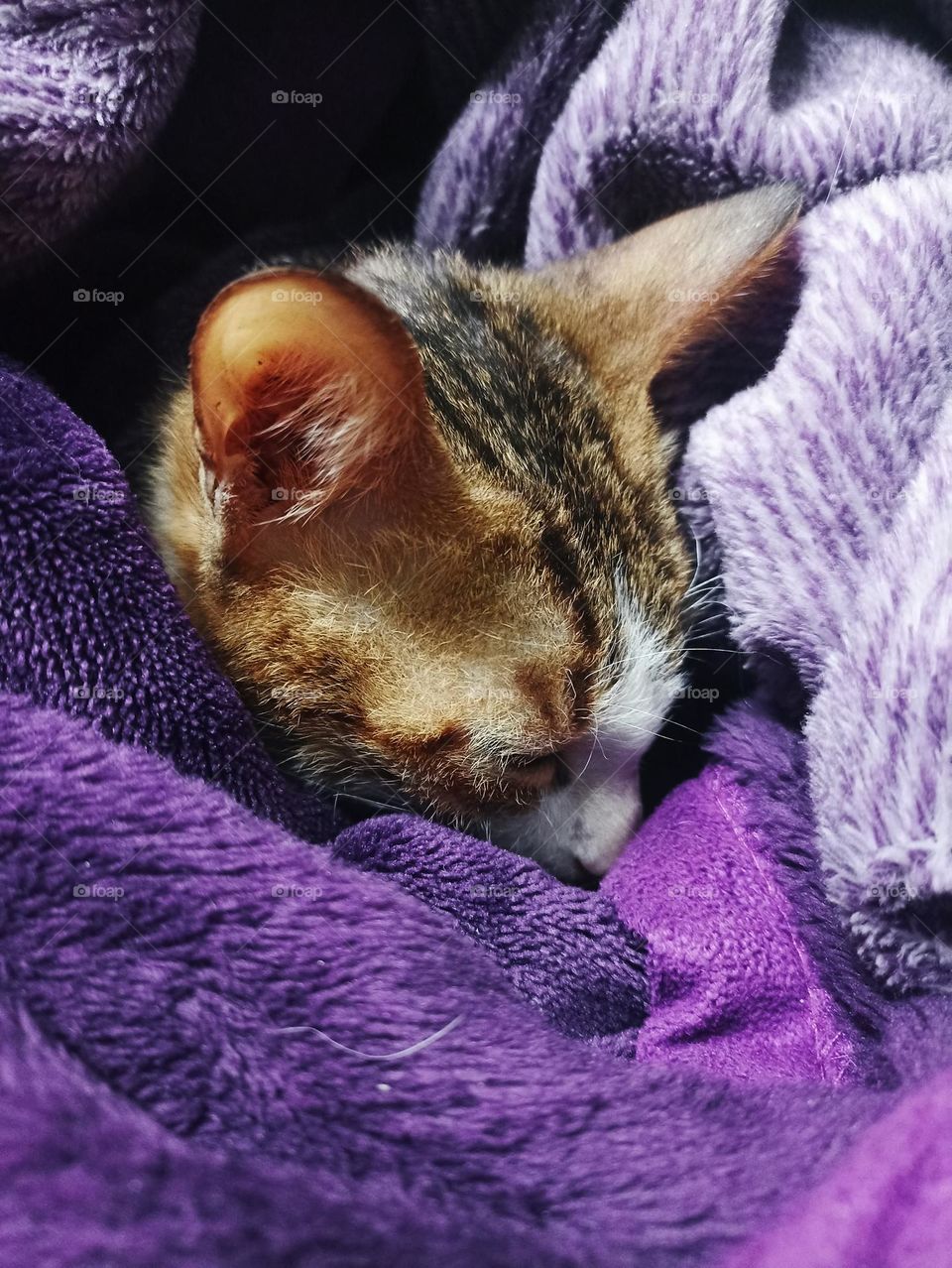 colour in warmth and calm, peace