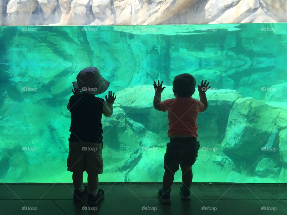 Aquarium Boys