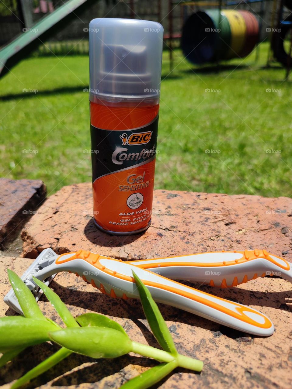 Shaving cream and razors