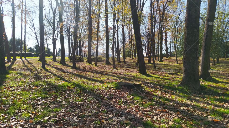 En el parque.. viva el parque en otoño