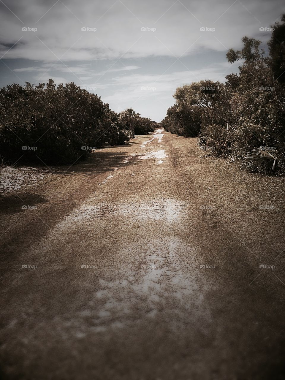 Old Road To New Smyrna Beach Florida