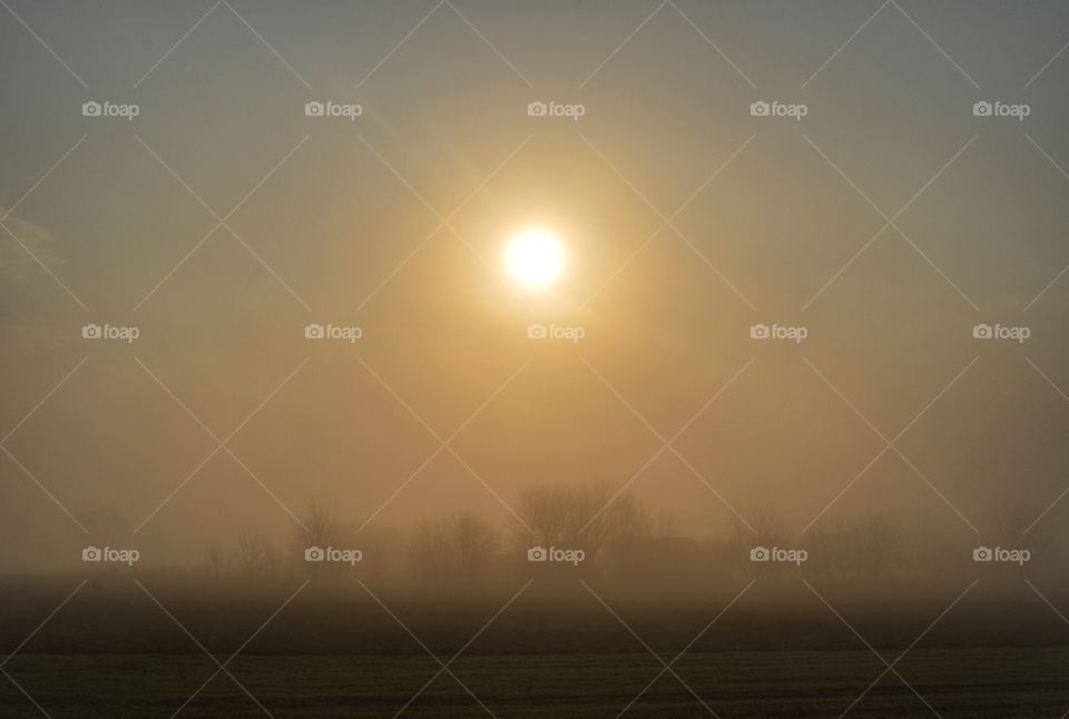 Sun, Sunset, Dawn, Landscape, Fog
