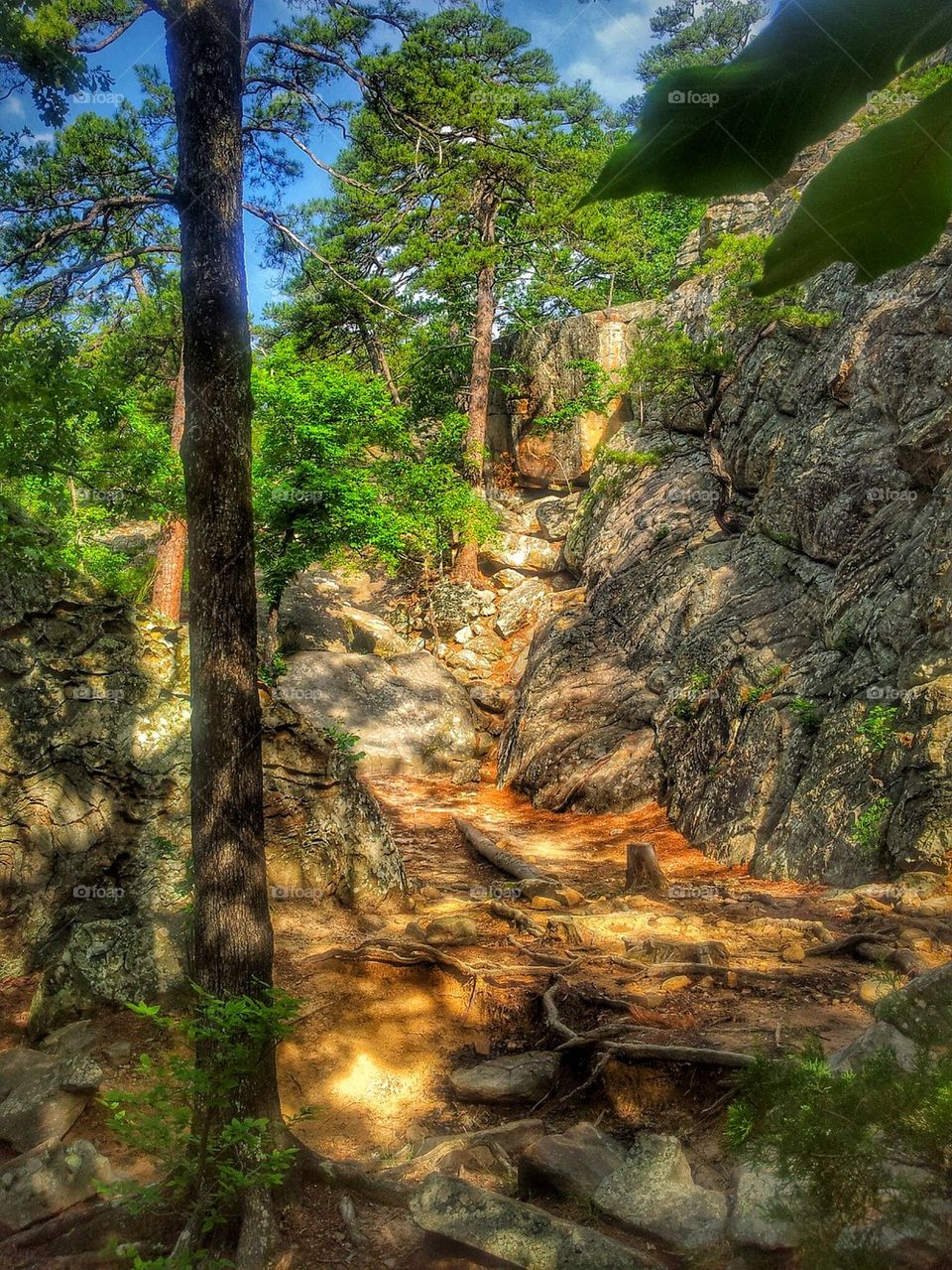 robbers cave state park