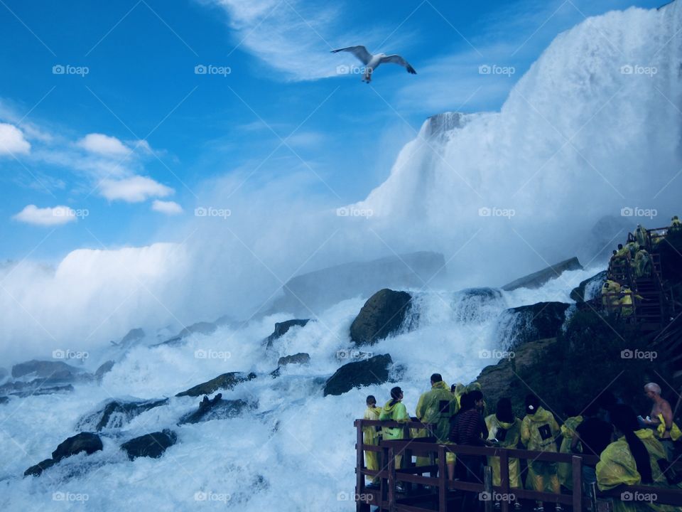 Niagara Falls at its best