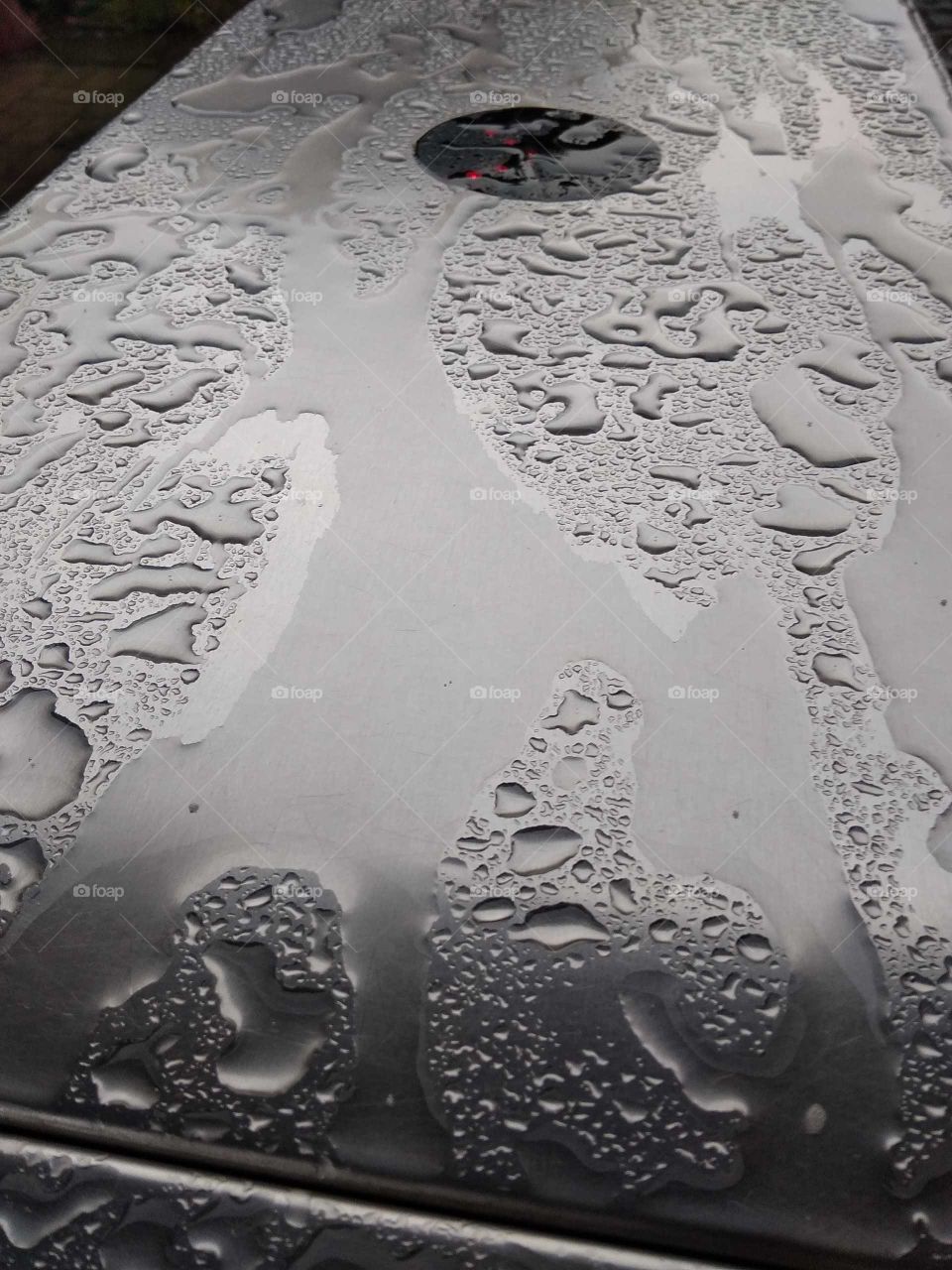 rainy season in nature