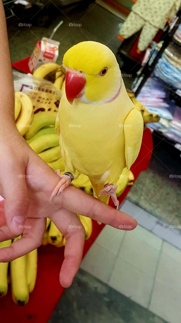 are you looking at me