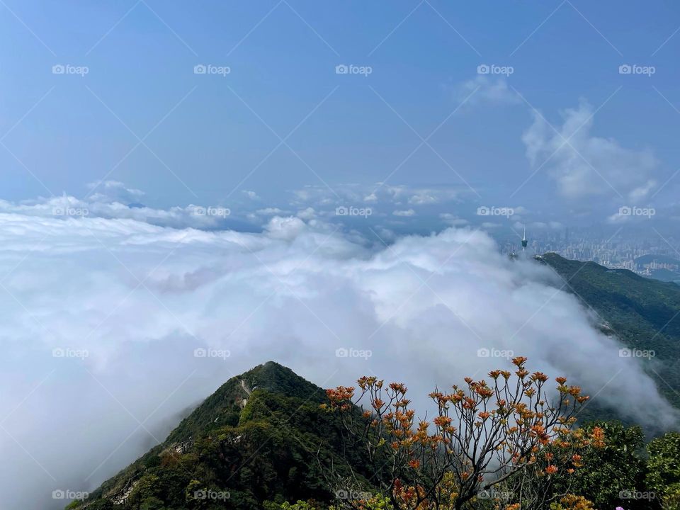sea of clouds