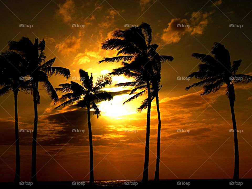 Sunset, Beach, Sun, Silhouette, Dawn