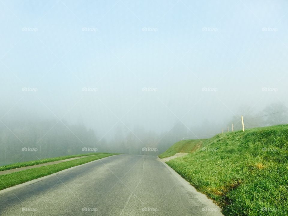 Foggy drive