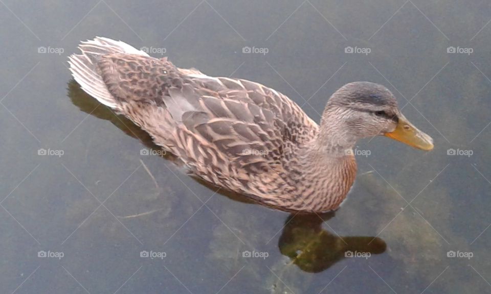 This little lady came to visit while I was fishing today.