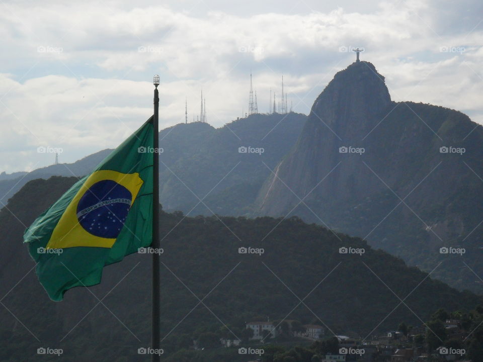 Flag. Brazilian Flag