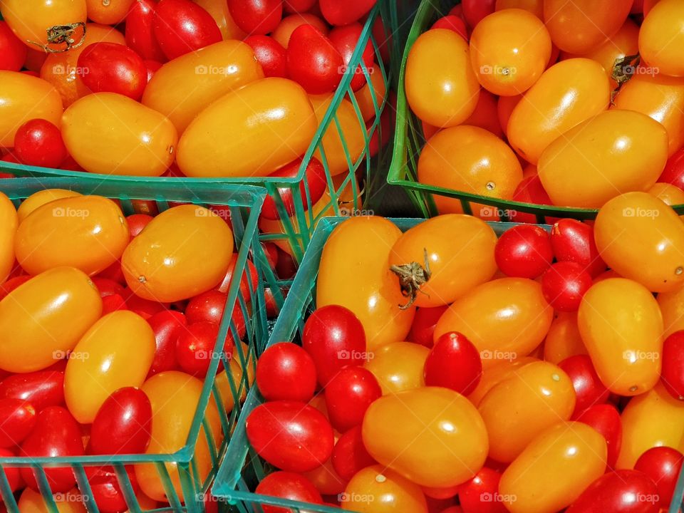 Fresh Ripe Tomatoes. Juicy Red And Yellow Tomatoes In The Summer
